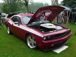 Image result for Furious Fuchsia 2010 Challenger