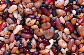 We did not find results for: How To Prep And Cook Dry Beans Harvest To Table