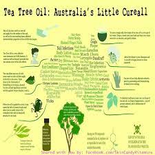 Tea Tree Oil Tea Tree Oil Benefits Tea Tree Oil Tea Tree Oil For Acne