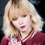 Elisa Hyde's Instagram, Twitter & Facebook