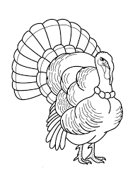 Free printable realistic wild turkey coloring page in vector format, easy to print from any device and automatically fit any paper size. Turkey Coloring Pages 105 Free Printable Coloring Pages