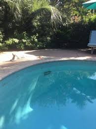 Pool Light Installation Tlc Electrical Pool Light Pool Pool Lights