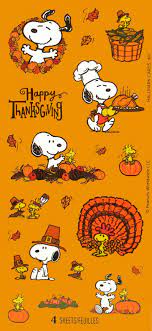 Doctor explains why you should avoid thanksgiving, christmas gatherings: Pin On Thanksgiving
