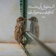 دلم برات تنگ شده :) | سایت تفریحی خنگولستان