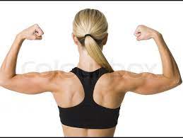 1300 x 991 jpeg 101 кб. Muscles Of A Woman S Back On White Stock Image Colourbox