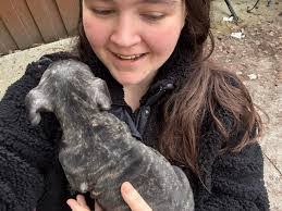 Marianne Castle's Instagram, Twitter & Facebook