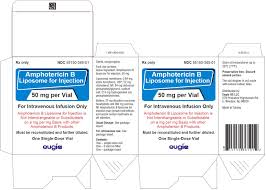Image result for Amphotericin B