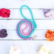 3 Coloured Ombre Dog Leash Puppy Leash Rope Dog By Happypooch Puppy Leash Dog Gifts Rope Dog Leash
