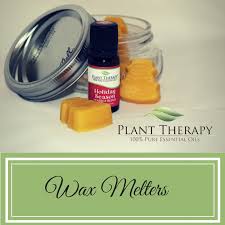 Wax Warmer Melts Naturally Blended Plant Therapy Essential Oils Essential Oils Essential Oil Recipes