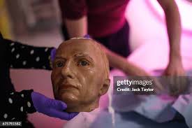 Radiographer at St Thomas' Hospital Dan Hodson examines a wax-work... News  Photo