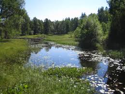 Click on the first link on a line below to go directly to a page where natural habitat is defined. An Introduction To Europe S Protected Areas European Environment Agency