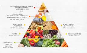 Dr Fuhrmans Nutritarian Pyramid Drfuhrman Com