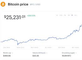 Bitcoin price (btc / usd). As Bitcoin Blasts Past 25 000 Here S Why This Investor Made The Surprise Decision To Sell