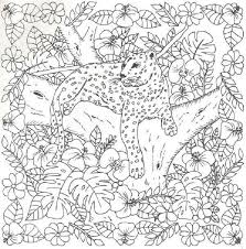 Push pack to pdf button and download pdf coloring book for free. Cheetah Coloring Pages For Adults Bmo Show