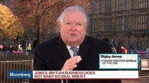 Digby jones is an international businessman and cross bench peer in the house of lords. Smooth Brexit Just As Important To Berlin As To London Digby Jones Says Bloomberg