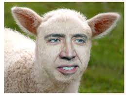 The warp tool is used to create a twisting effect (you need photoshop cs2 or above). Photoshop Any Thing You Would Like Me To Do Especially Funny Things By Thedarfs Fiverr