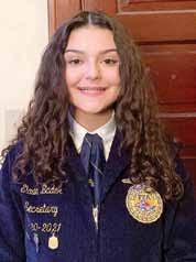 Spring Home Improvement