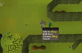 Centre of the tree gnome village maze, talk to king bolren. Osrs Tree Gnome Village Runescape Guide Runehq