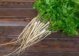 It should be watered thoroughly only once during the summer. Parsley Root Kitchen Basics Harvest To Table