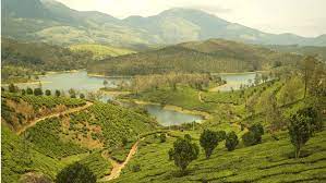 Sometimes referred as elagiri hills by tourists, the hilly terrain of yelagiri forest hills spreads across an area of 30 square kilometres and stands at an altitude of 1110.6 metres above the sea level. Top 10 Things To Do Places To Explore In Yelagiri Hill Station