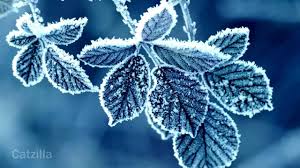 winter hd wallpapers you