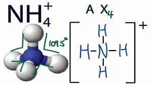 The bond angles for the molecules having a tetrahedral geometry is 109°, but as the geometry of h 2 o molecule is distorted due to the presence of the lone pairs of electrons, the bond angle decreases from 109° to 104.5° h2o shape. Nh4 Molecular Geometry Shape And Bond Angles Youtube