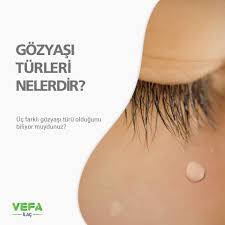 Vefa Ilac On Instagram Gozyasi Goz Yuvasi Ile Goz Kapagi Arasinda Bulunan Gozyasi Bezleri Tarafindan Uretilir Temel Gozyasi Vucudun Duygusal Durumuna Bag