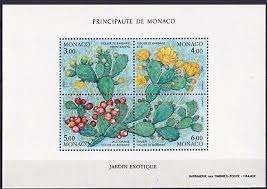 Image result for Teal 1992 Monaco