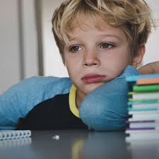 Embracing and Providing for All Learners: The Basics of Meeting Specialized  Needs