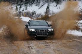 Image result for Argus Brown 2017 A4