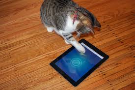 We did not find results for: Amuse Your Feline Friend With The 5 Best Apps For Cats And Cat Owners Digital Trends