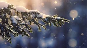 500 of the best free desktop wallpapers hd pixabay. Christmas For Laptop Wallpapers Wallpaper Cave