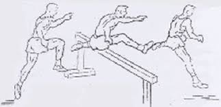 Kelincahan itu merupakan salah satu faktor yang menentukan kebugaran jasmani seseorang. Kelincahan Agility Pengertian Dan Bentuk Bentuk Latihan Kelincahan Berbagaireviews Com