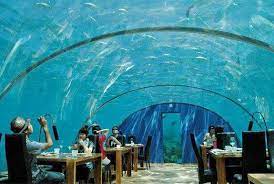 Under Water Hotel Bora Bora Underwater Restaurant Unusual Hotels Underwater Hotel