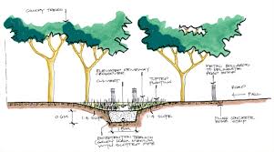 Water Sensitive Urban Design Wsud Melbourne Water Urban Design Ecology Design Water Management