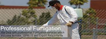 Pest control business license licensing requirements. Pest Control In Cape Town Call 021 300 1905