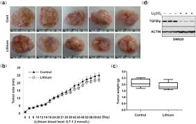 Another, slightly alarmingly, is by the thermal decompostion of lithium(i) perchlorate, liclo4. Lithium Inhibits Tumor Lymphangiogenesis And Metastasis Through The Inhibition Of Tgfbip Expression In Cancer Cells Scientific Reports