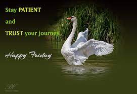 We have the best collection of happy friday messages, happy friday quotes, happy friday wishes, happy friday prayers, tgif sms, tgif text messages. Friday Wish Stay Patient And Trust Your Journey Premium Wishes