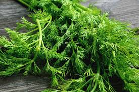 These disorders are known as neuropathy which. 6 Powerhouse Herbs For Nerve Damage Regeneration Modern Neuropathy