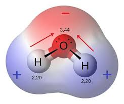 Escentric molecules celebrates perfumery as the art of chemistry. Polar Molecule Definition And Examples Biology Dictionary