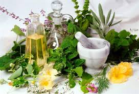 Image result for تعالج الحروق وتشد البطن .. تعرفي على الأعشاب السحرية