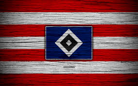The etymology of the color name rose is the same as that of the name of the rose flower. Download Wallpapers Hamburger 4k Bundesliga Logo Hsv Germany Wooden Texture Fc Hamburger Soccer Hamburger Sv Football Hamburger Fc For Desktop With Resolution 3840x2400 High Quality Hd Pictures Wallpapers