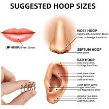 Nose Ring Type And Size Chart: Everything You Need To Know - Yonida'Punani