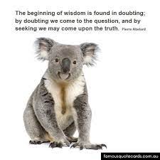 Koala quotations to inspire your inner self: Wisdom Koala Bear Koala Wildlife Quotes