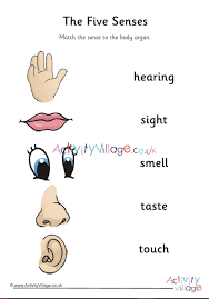 More images for five senses pictures printables » Five Senses Matching Worksheet