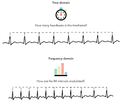 Heart Rate Variability How To Analyze Ecg Data Imotions
