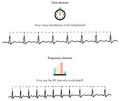 heart rate variability how to analyze ecg data imotions