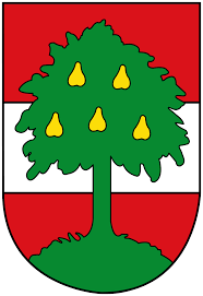 Se svými 50 000 obyvateli (k 5. Geschichte Dornbirns Wikipedia