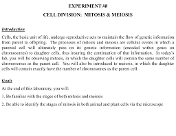 When cells divide, two daughter cells are produced from one mother cell. Experiment 8 Cell Division Mitosis Meiosis