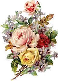 May 25 2019 explore vera louise riddles board vintage floral images followed by 5434 people on pinterest. Pin On Places To Visit